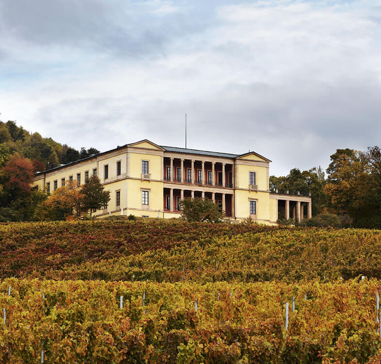 König Ludwig I. Sehnsucht Pfalz Delta im Quadrat Stadtmagazin